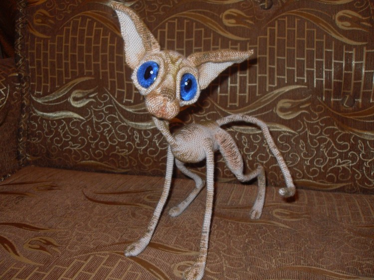 Корниш рекс каракулевый