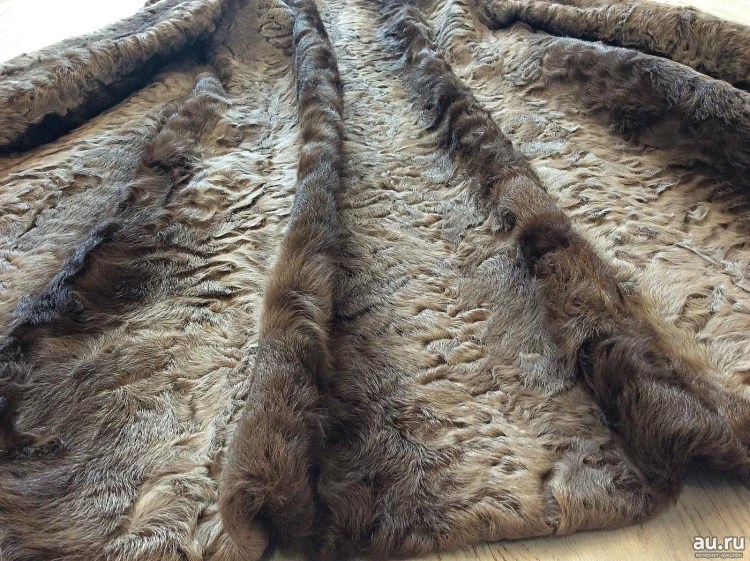 Кошка под каракуль