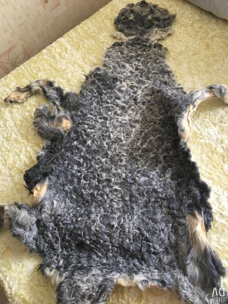 Каракулевые шкурки