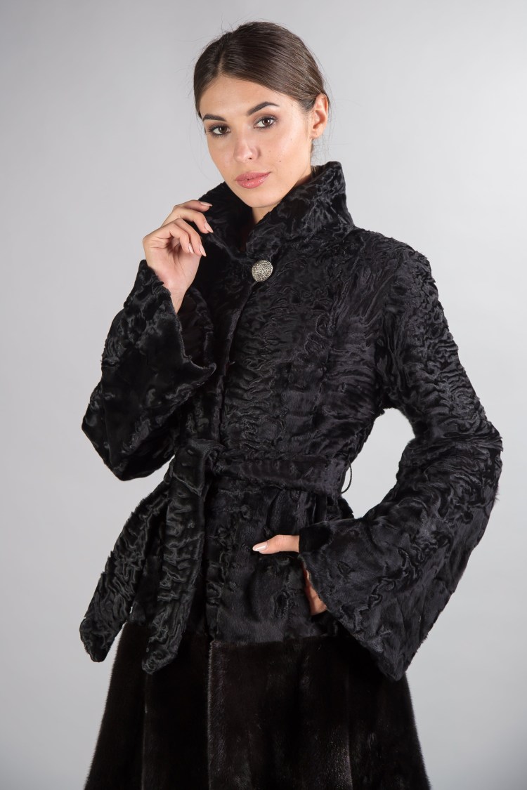 Кот Селкирк рекс