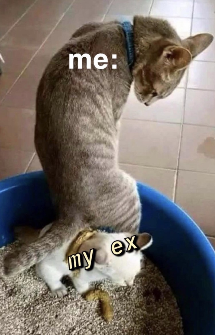 Котенок нагадил