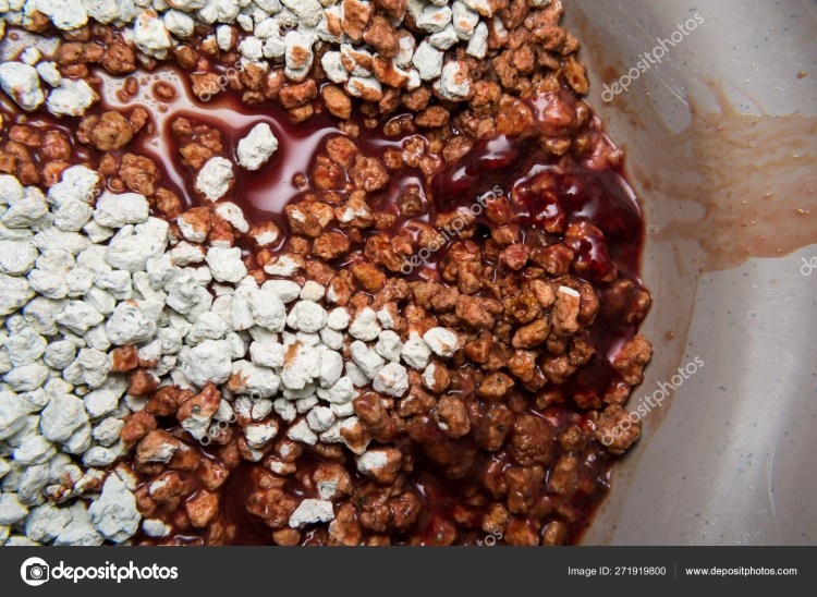 Дикий стул с кровью у котенка