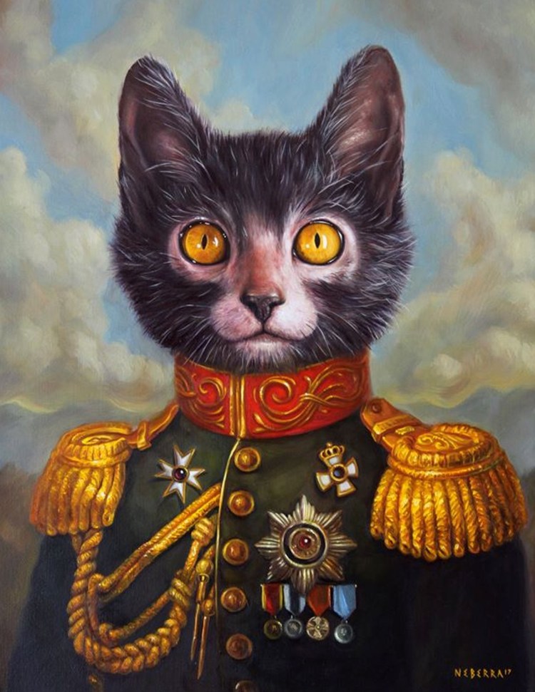 Дворянская порода кошек белая