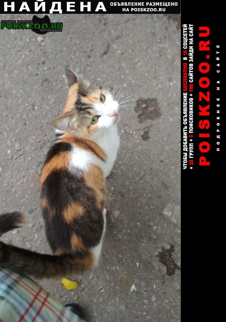 Турецкий Ван