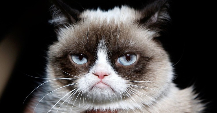 Комиссар Грампи