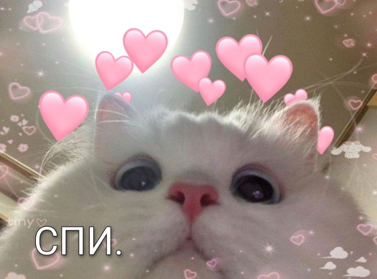 Кокичи сердечко