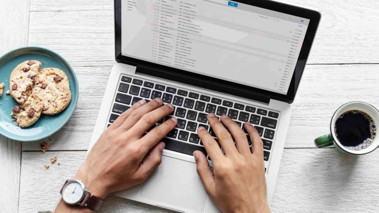 Кошка за компьютером