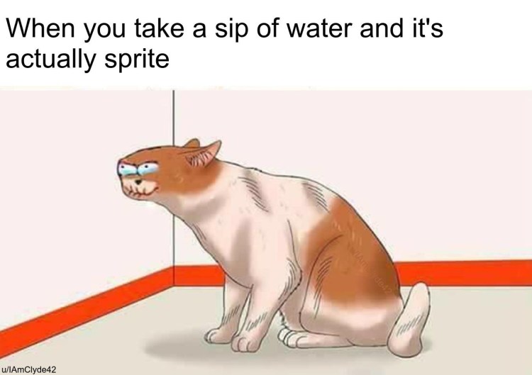 Метит территорию