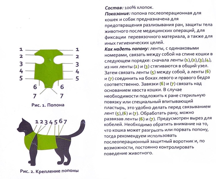 Выкройка попоны для кошки после стерилизации
