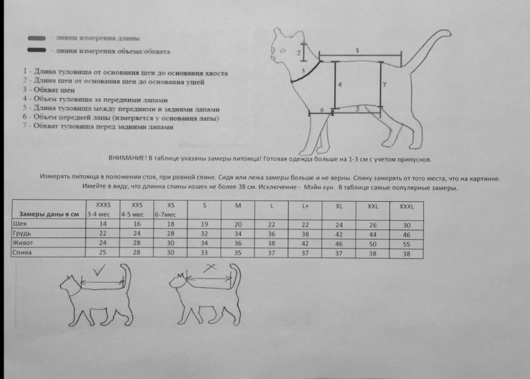 Попона для собаки выкройка