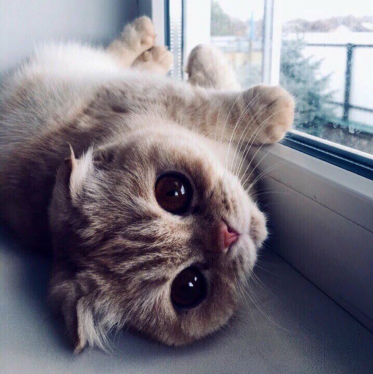 Милые фоточки