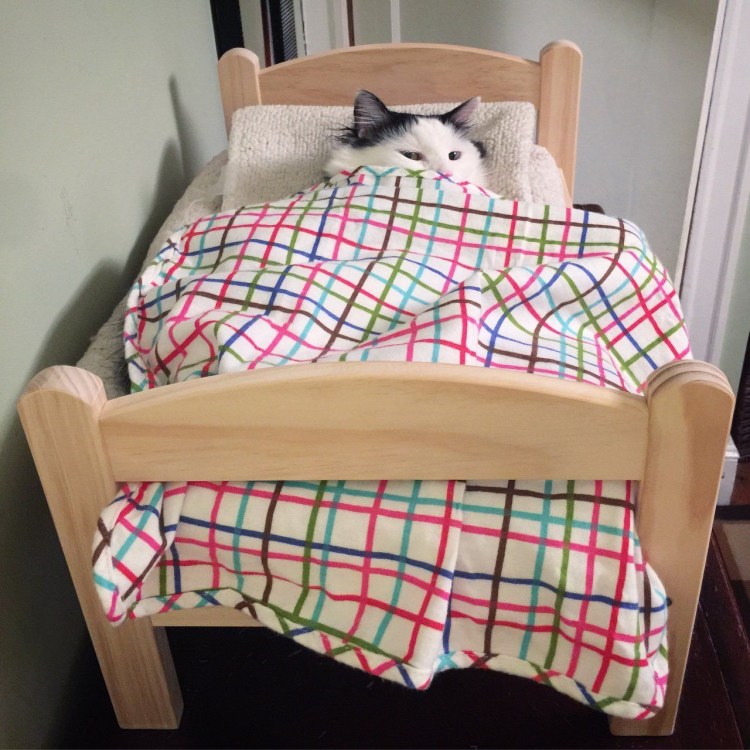 Кошечка в кроватке