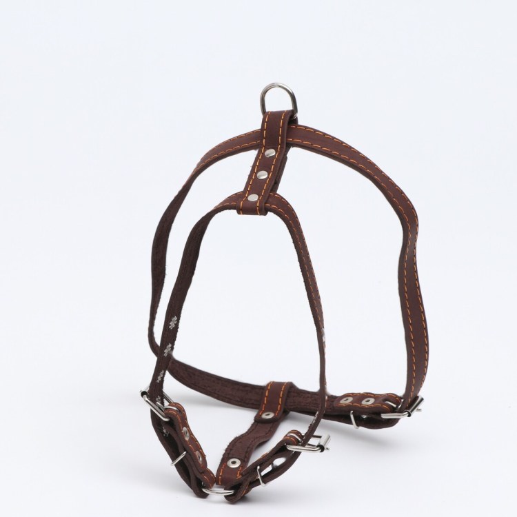 Шлейка Gamma 20мм 480-540мм