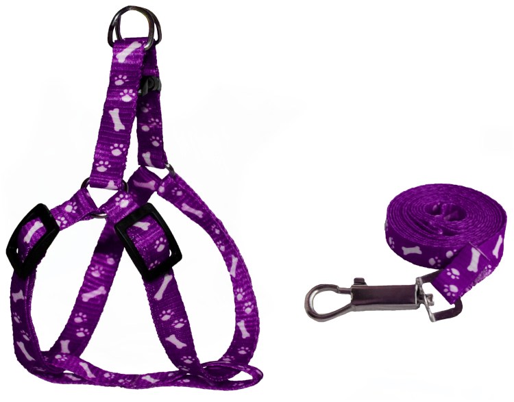 Как регулировать шлейку на собаку