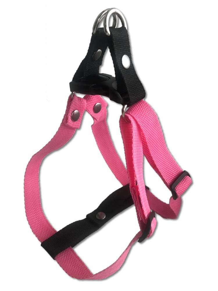 Шлейка кожаная "прогулочная", 2 см, Ош 46-58 см, ОГ 78-85 см, микс цветов 1613468