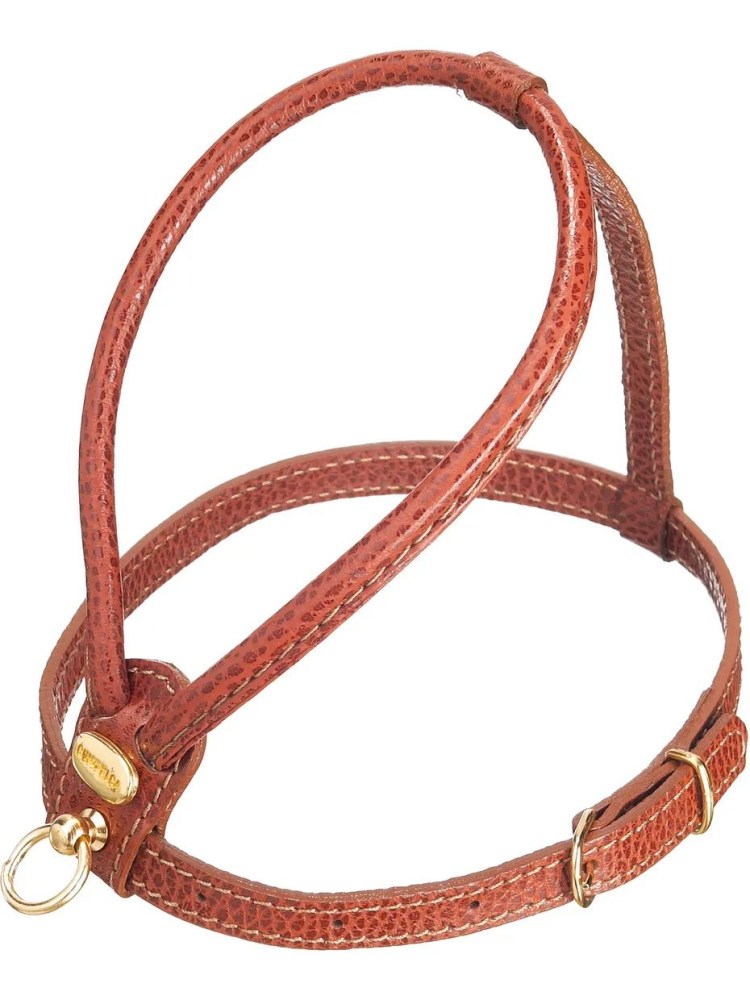 Шлейка для собаки из стропы своими руками