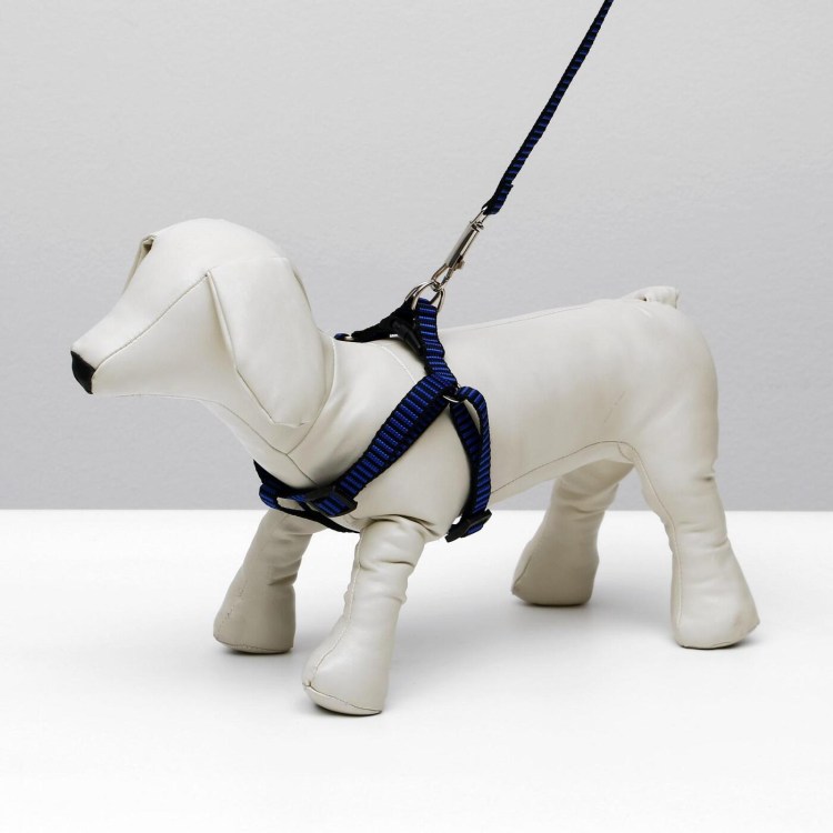 Триол шлейка поводок джинсовый, красный, 20*450-600мм; 20*1200мм