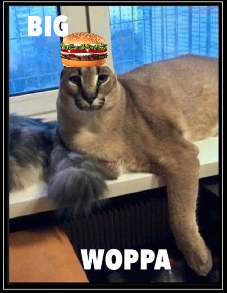 Большой шлёпа каракал