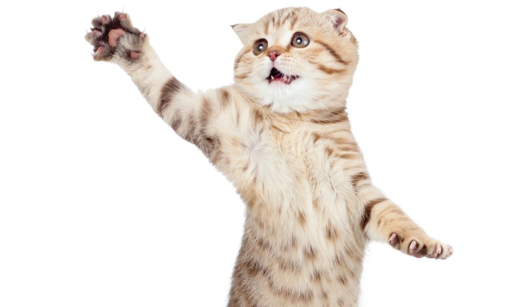 Код чтобы летать