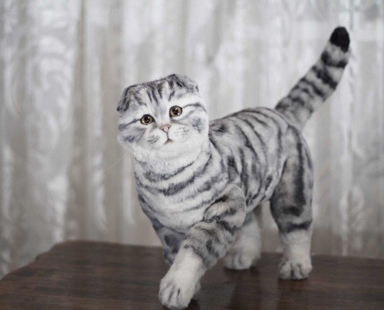 Кошки маленькие черные британские вислоухие