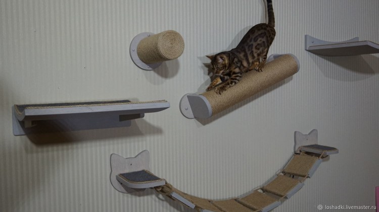 Кошачий комплекс на стену