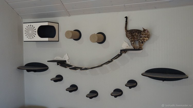Настенный кошачий комплекс