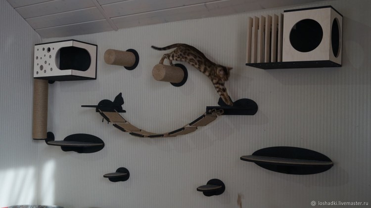 Настенный комплекс для кошек