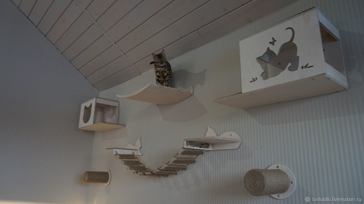 Подвесной комплекс для кошек