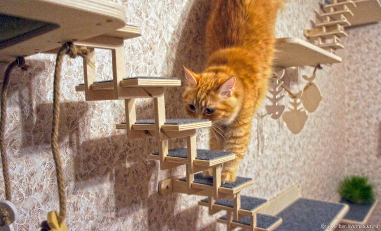 Настенный комплекс для кошек