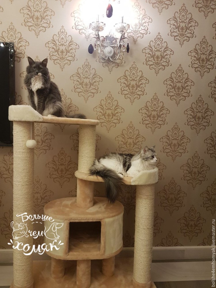 Игровой комплекс для Мейн куна