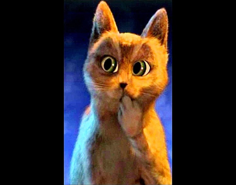 Кот из Шрека оууу