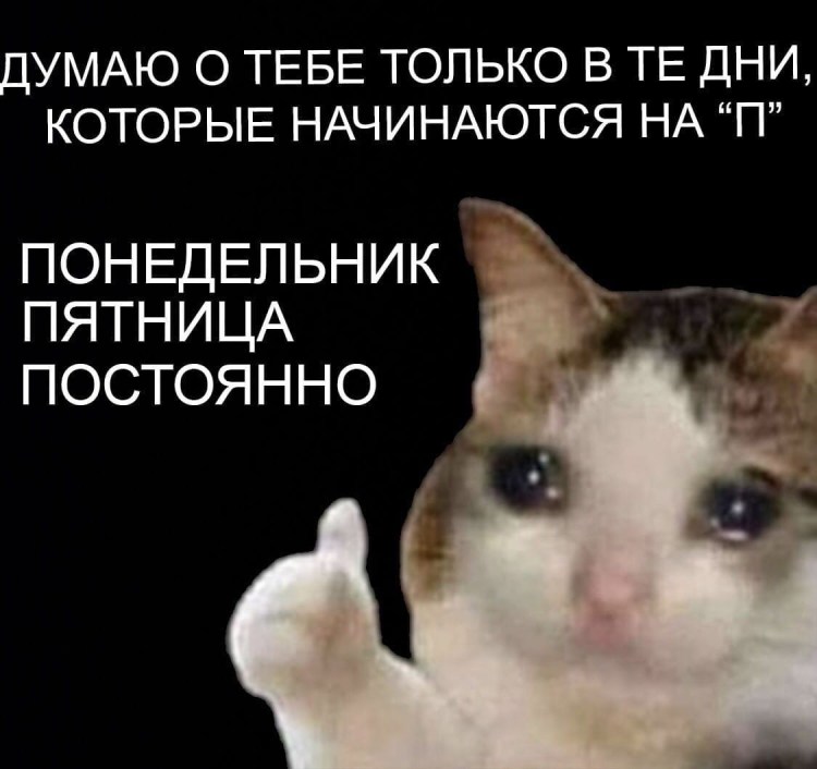 Стресс котик