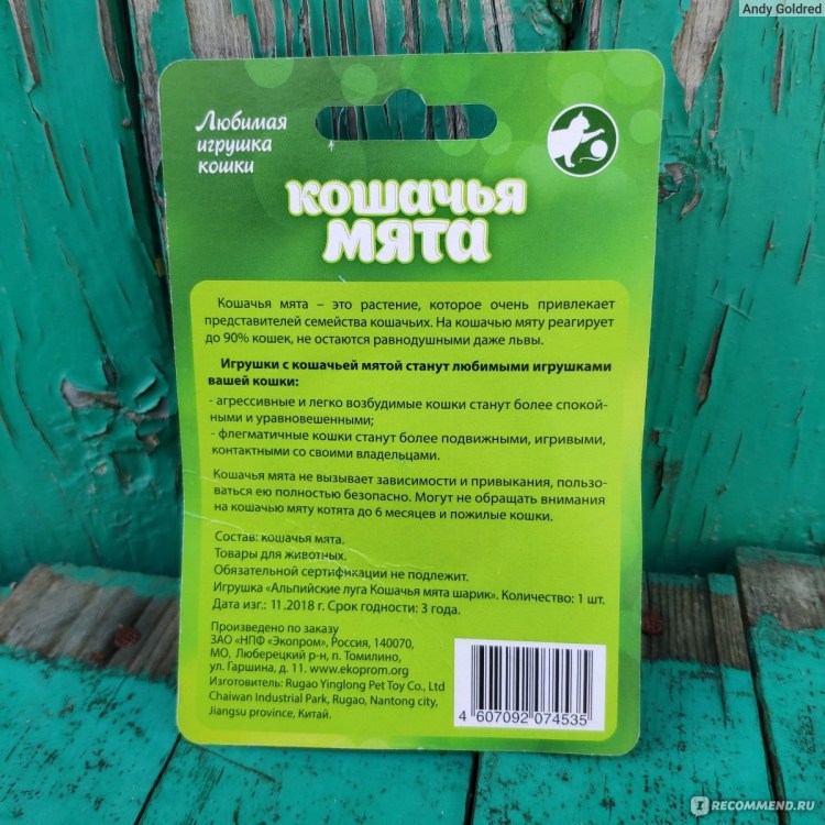 Живность домой