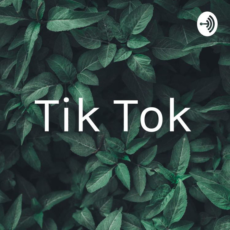 Амир Чешуинов 2020