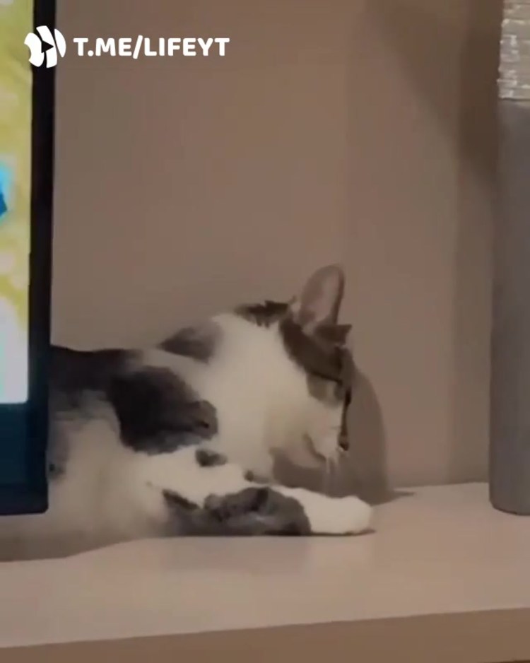 Билли Айлиш арт