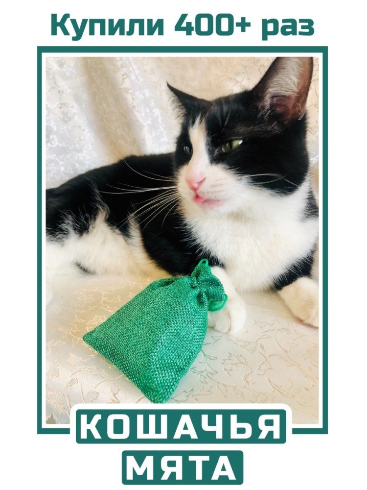 Кошечка мята