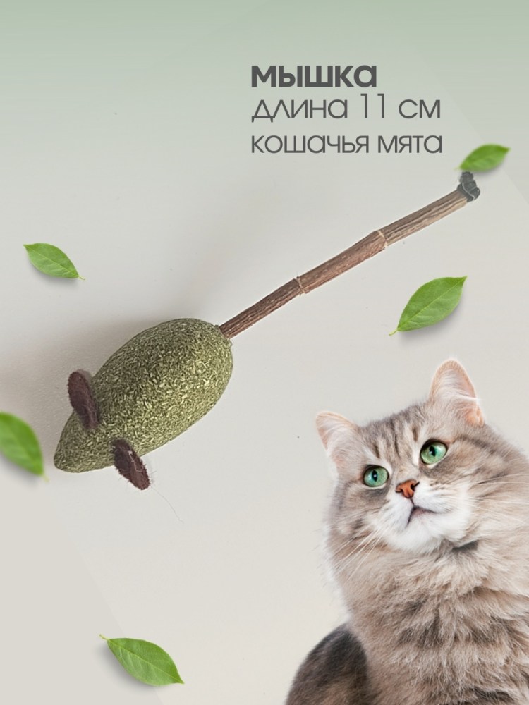 Victoria Core aesthetic фиолетовый