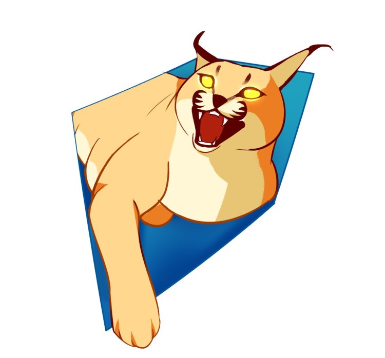 Шлёпа кот на белом фоне