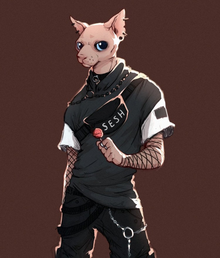 Лысый кот БИНГУС