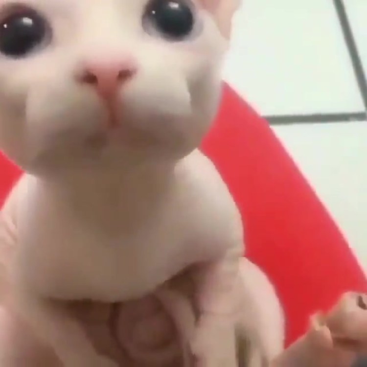 Парень в костюме