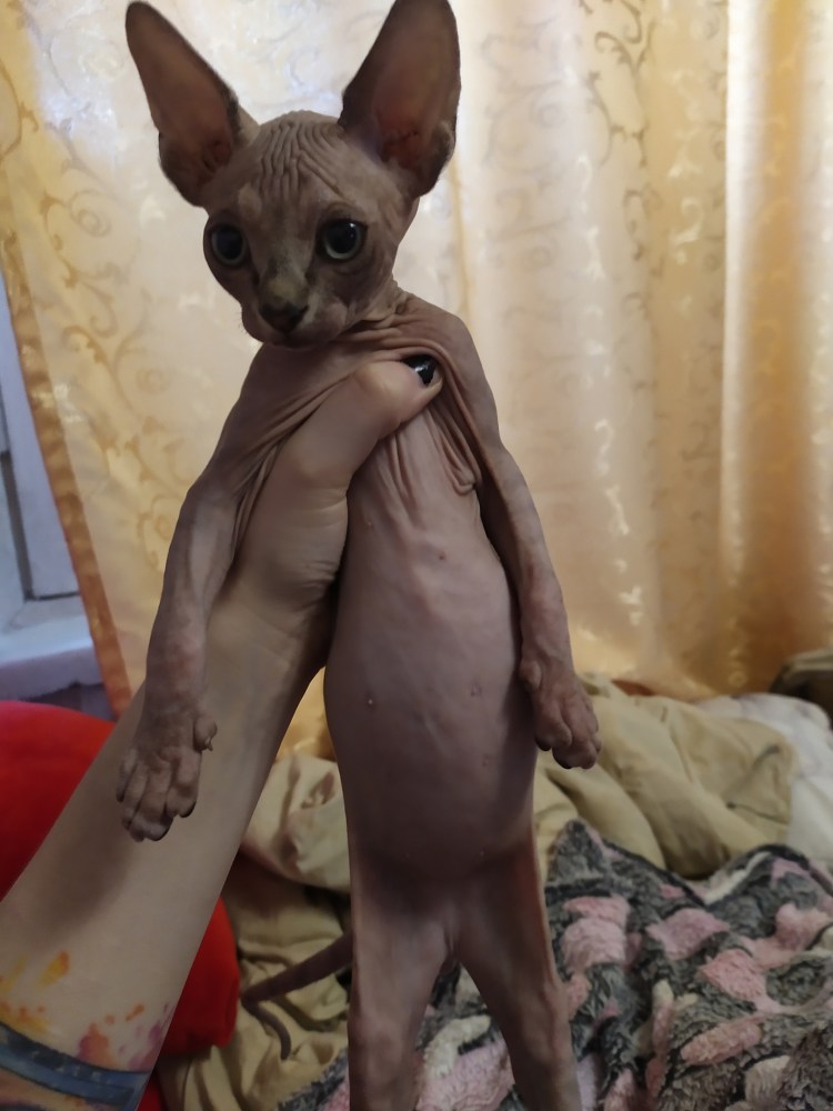 Костюм зайчика для девочки