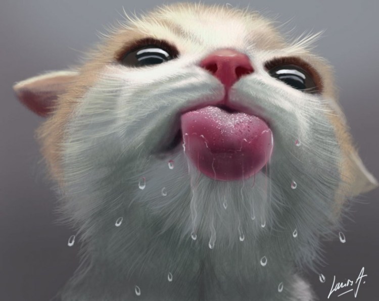 Котики обнимаются