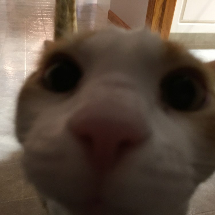 Я был бы удивлен