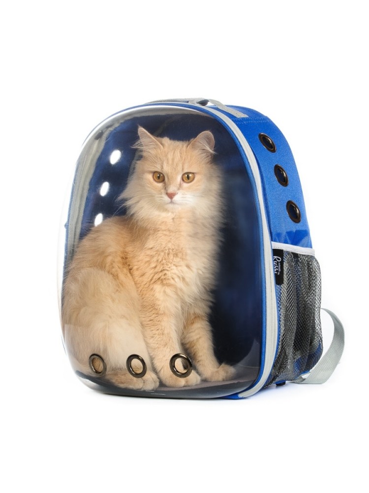 Слинг для кошек