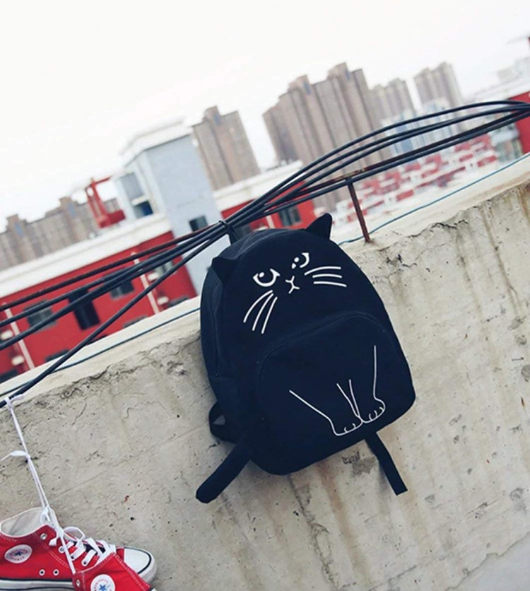 Смешные кошки в переноске