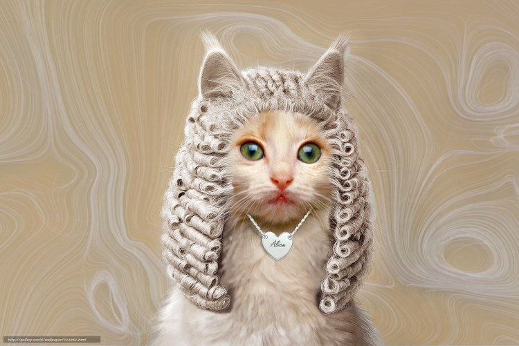 Мальчик с рыжим котом