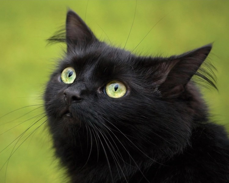 Баринова алёна Владимировна (@alonabar_Dr.Bio)