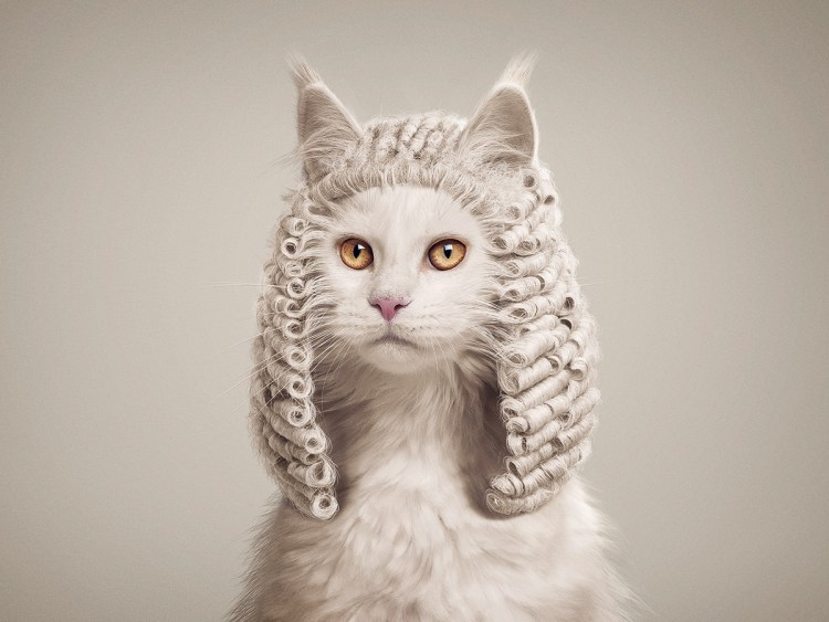 Котик с каре