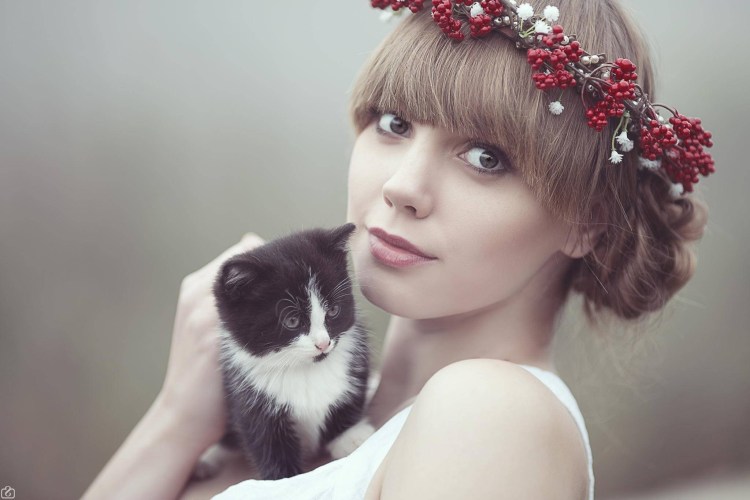 Красивые черные коты