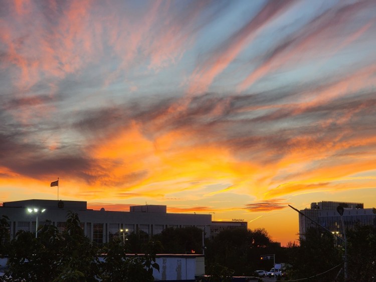 Кошка на рассвете